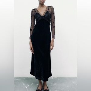 Zara Velvet Trim Dress